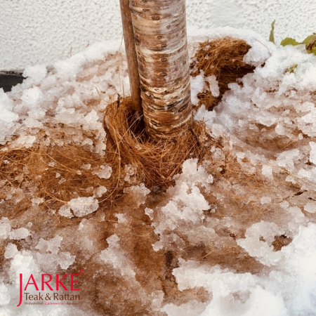 Der natürliche Winterschutz für Ihre Pflanzen. Kokos-Scheiben in div. Größen. Frostschutz für die Wurzeln.