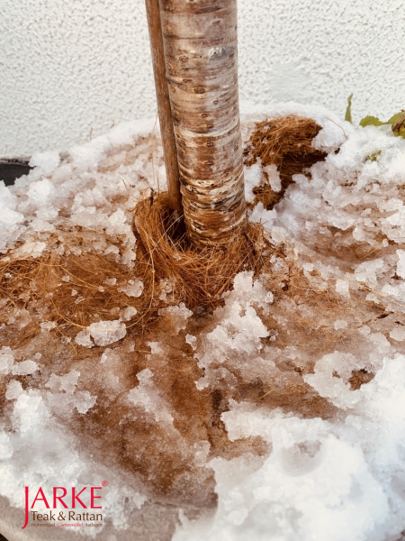 Der natürliche Winterschutz für Ihre Pflanzen. Kokos-Scheiben in div. Größen. Frostschutz für die Wurzeln.