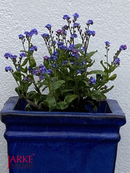 Terraccota Blumentopf Blau